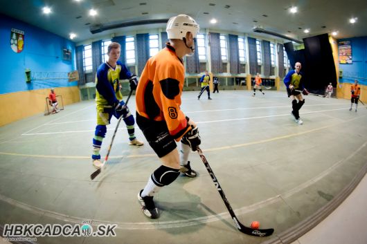 Program a �tatistiky ZLKH� 2015